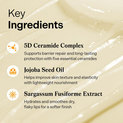 SOLID in Ceramide Lip Essence 11Ml X 3 (Pack of 3) + Jelly Case Key Chain | Moisturizing Lip Essence for Glowy, Plumped, and Radiant Lip | Korean Lip Balm
